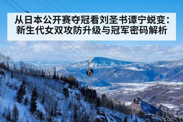 从日本公开赛夺冠看刘圣书谭宁蜕变：新生代女双攻防升级与冠军密码解析